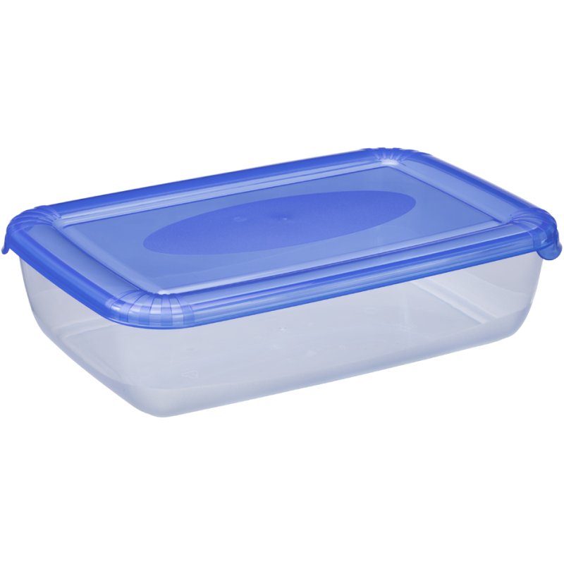 plast team boîte de congélation rectangulaire, 1,9 litre, gris, 255×167×62 mm